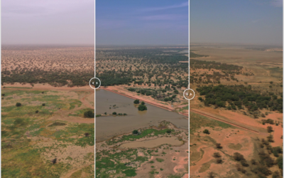 Projets RIMDIR et RIMFIL en Mauritanie : suivi, opportunités de restauration & communication